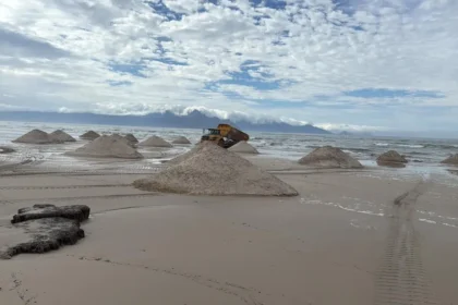 Coastal Area of Cape Town