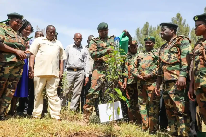 Kenya Forest Service officers during restoration drive in Mt. Elgon region