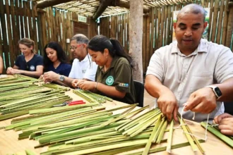 Deputy Mayor Eddie Andrews celebrating World Wetlands Day in Cape Town