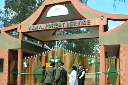 Kenya Forest Service