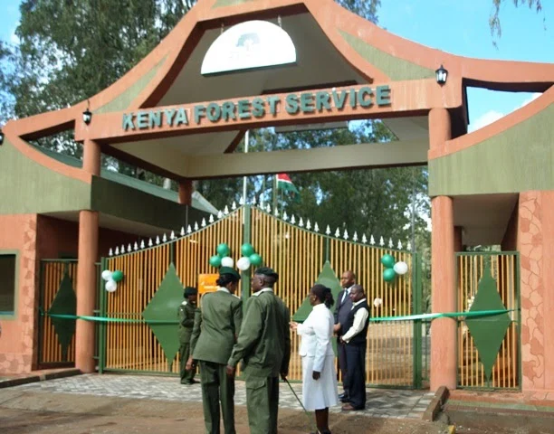 Kenya Forest Service