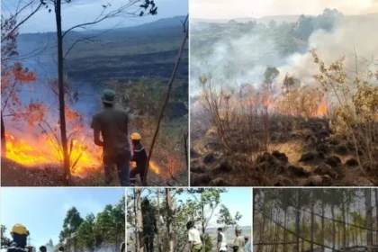Forest Fire in Nakuru County, Kenya