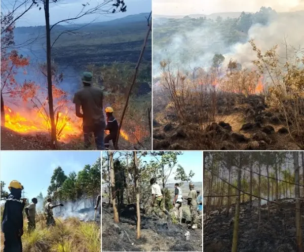 Forest Fire in Nakuru County, Kenya