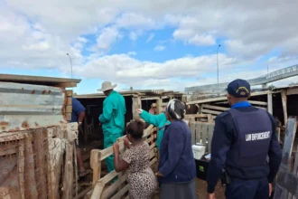 Western Cape Agri State Vet curing Foot and Mouth Disease