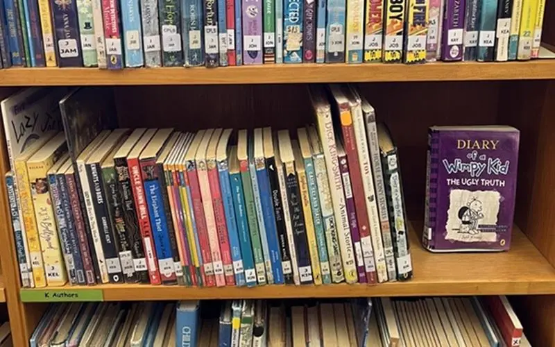 Cape Town City Library during the Fine Free Week