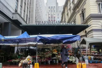 Trafalgar Place Flower Market in Cape Town