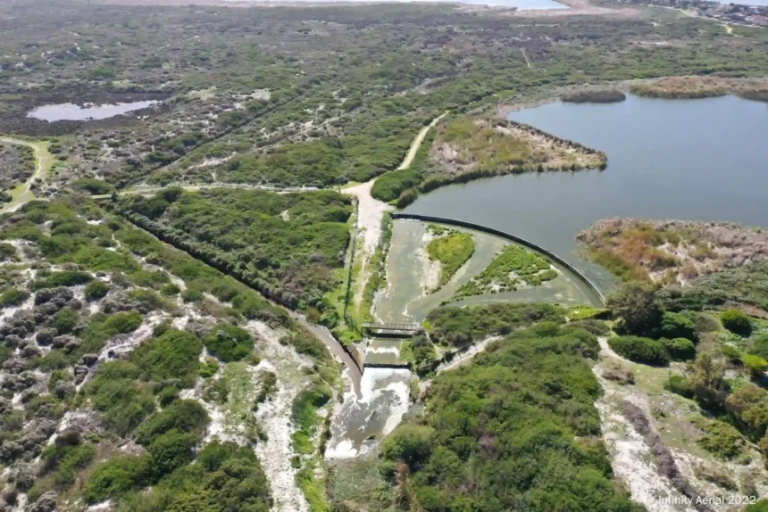 Zeekoevlei in False Bay Nature Reserve