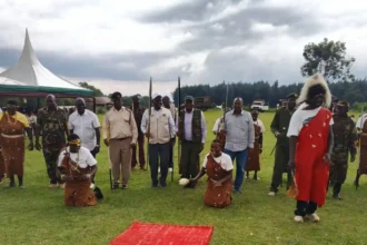 Kenya Forest Service