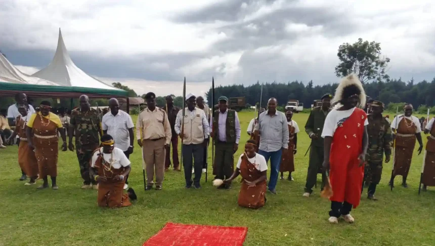 Kenya Forest Service