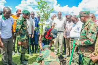 Kenya Forest Service team in Chepalungu Forest during Major Tree-Planting Drive in Bomet 