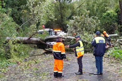 Cape Town services teams on duty