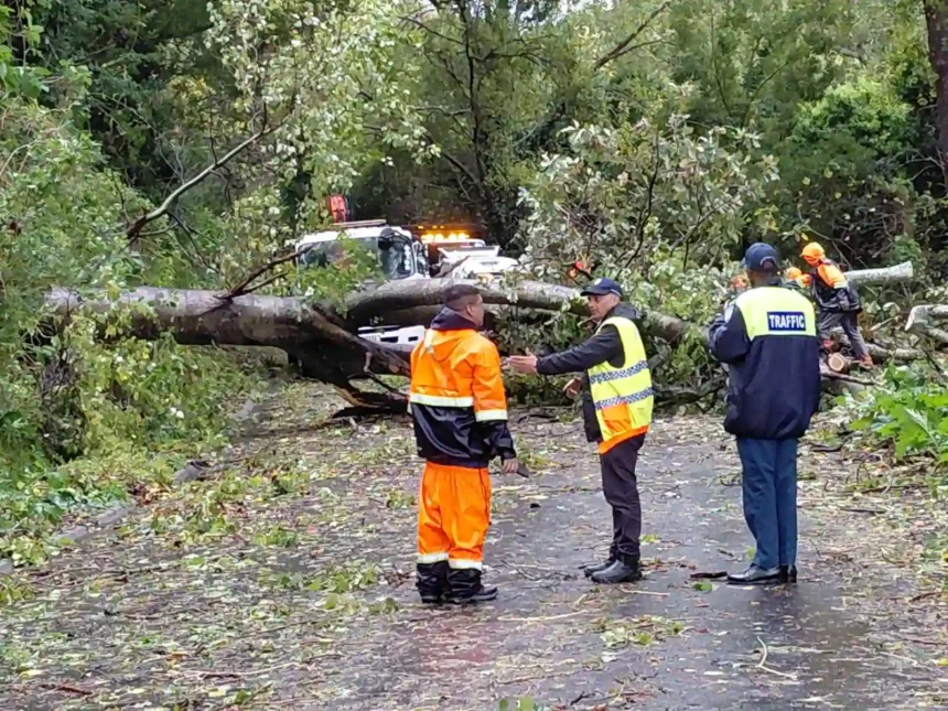 Cape Town services teams on duty
