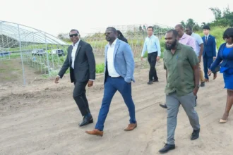 PM Terrance Drew with delegates on tour to Greenhouse Village at Brotherson Estate in Newtown Ground, St. Kitts and Nevis