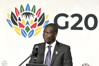 South Africa Foreign Minister Roland Lamola on G20 exclusion