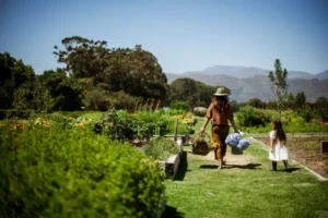Mother's Day in Cape Town Nature 