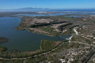 Zeekoevlei located in False Bay Nature Reserve Cape Town