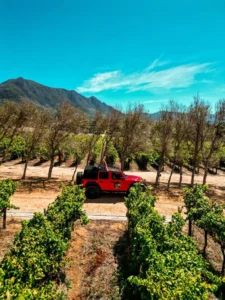 Jeep Tour in Cape Town Nature 