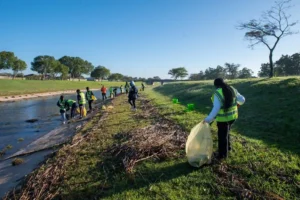 Eco Warriors of Cape Town