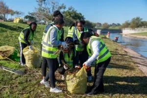 Eco Warriors of Cape Town