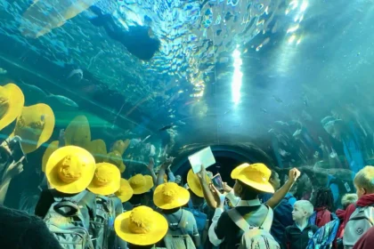 city learners at two oceans aquarium in cape town
