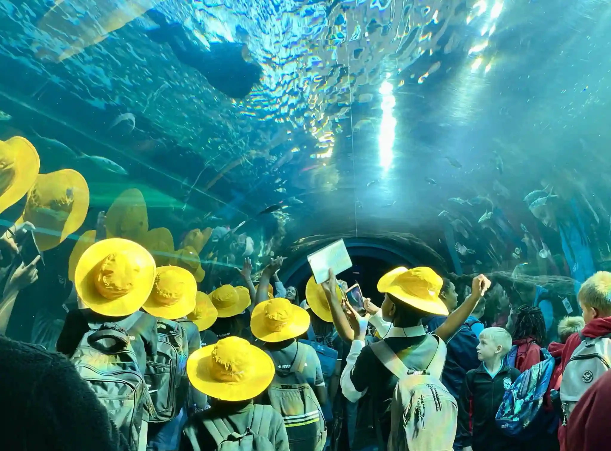 city learners at two oceans aquarium in cape town