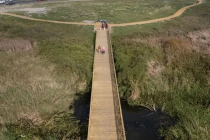 Cape Town opens Princess Vlei trail