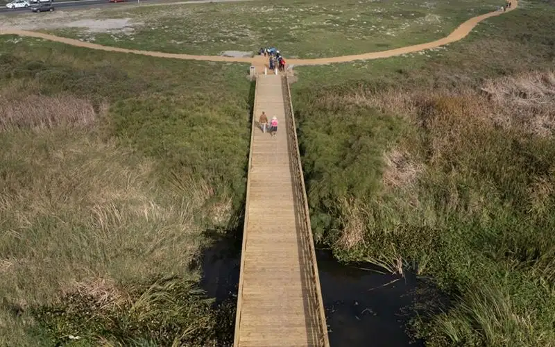 Cape Town opens Princess Vlei trail