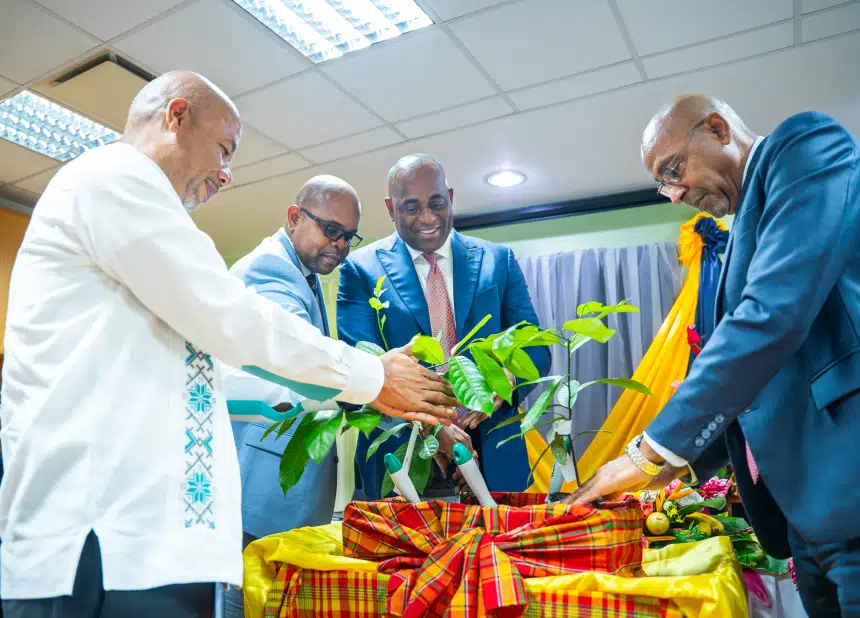 Dominica launches DOMCREP