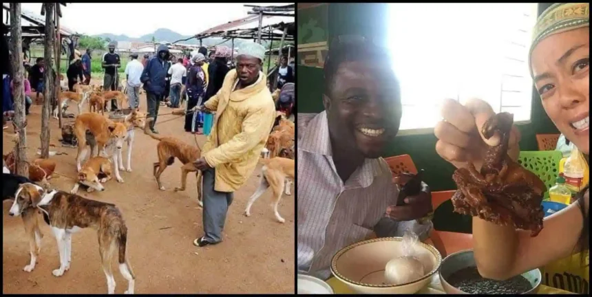 Ghana urges to ban animal meat