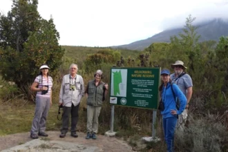 Helderberg Nature Reserve in Cape Town