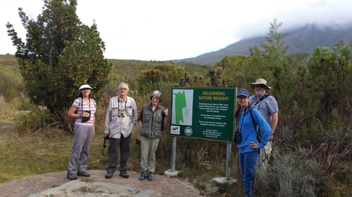 Helderberg Nature Reserve in Cape Town