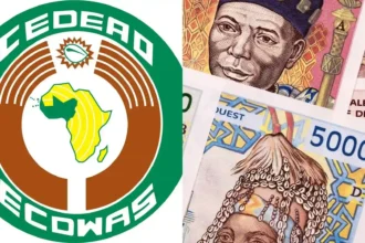 ECOWAS Eco-currency refused by Guinea